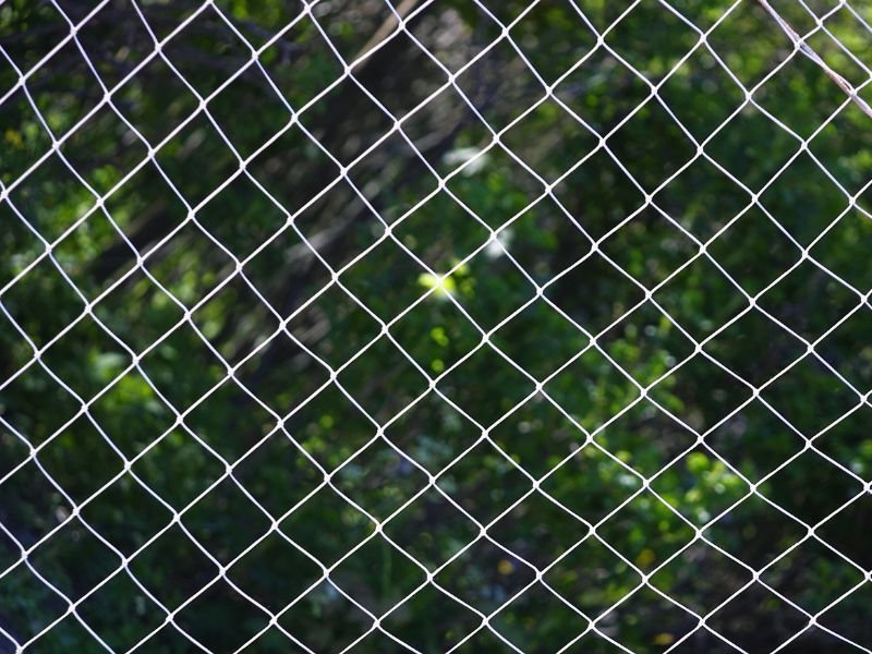 Rede de Proteção para Gatos em Água Verde, Curitiba