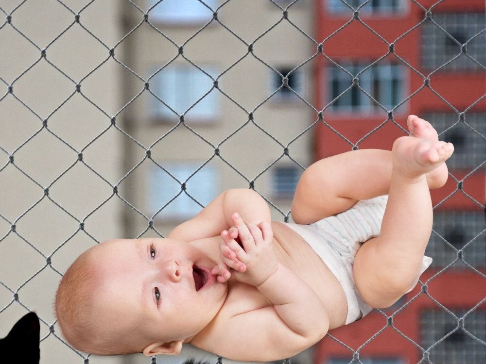 Rede de Proteção para Gatos em Alto da Glória, Curitiba