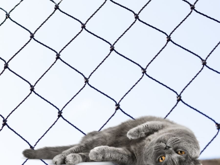 Rede de Proteção para Gatos em Campo de Santana, Curitiba