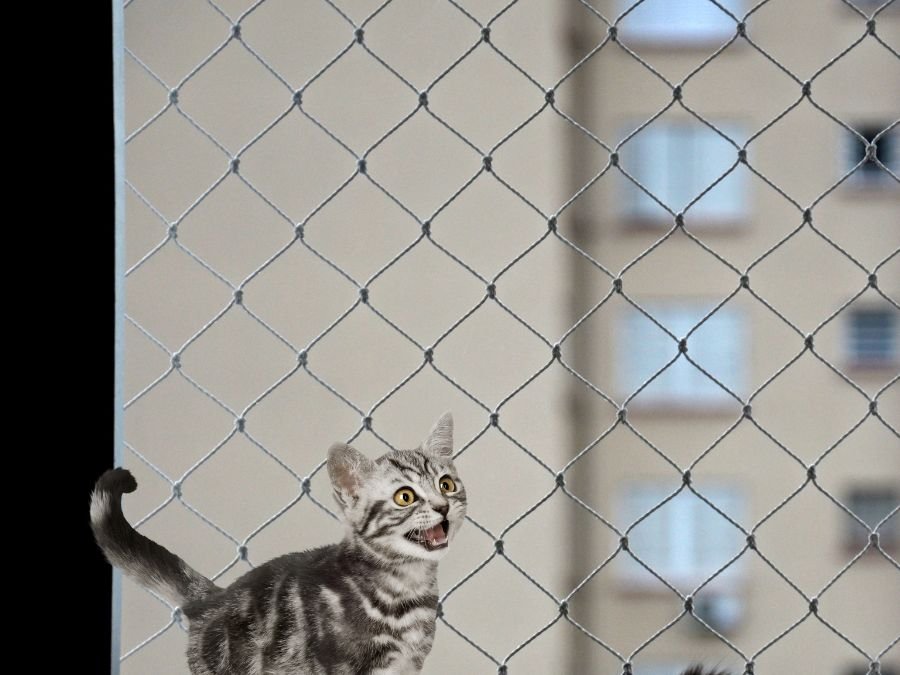 Rede de Proteção para Gatos em Cascatinha, Curitiba