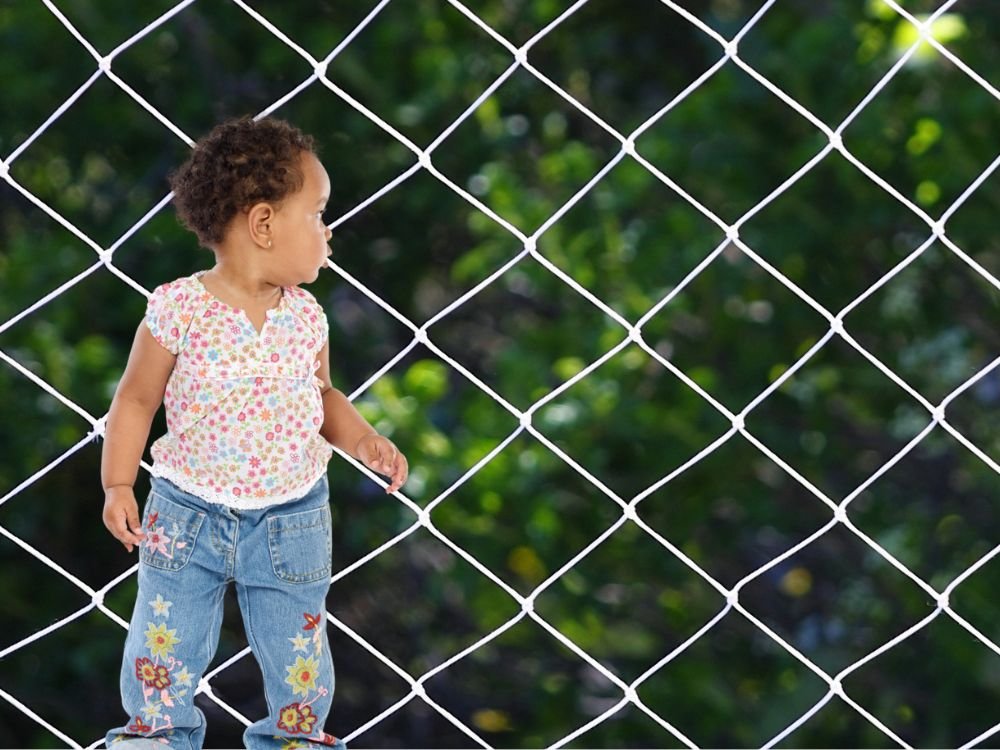 Rede de Proteção para Gatos em Santa Felicidade, Curitiba