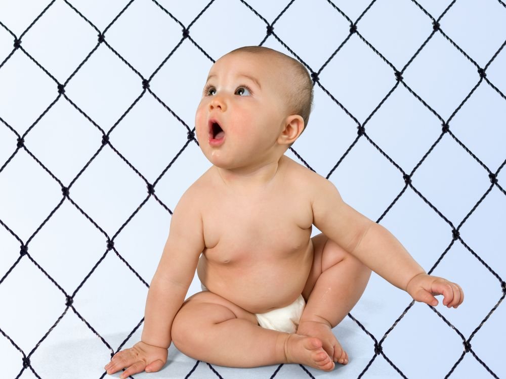 Rede de Proteção para Gatos em São Francisco, Curitiba