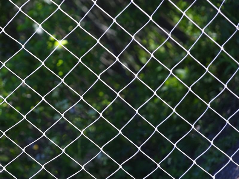 Rede de Proteção para Gatos em Bom Retiro Curitiba