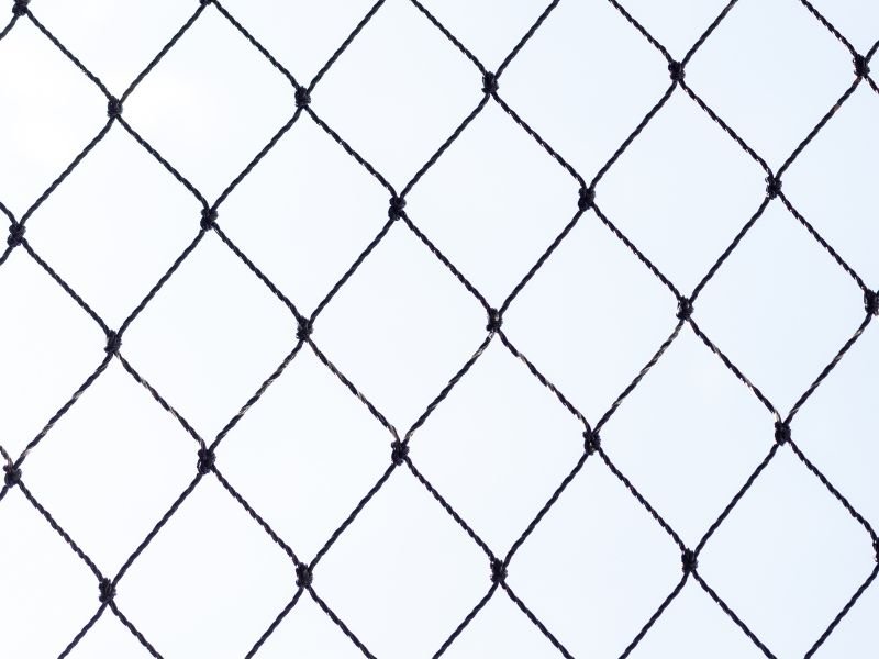 Rede de Proteção para Gatos em Cidade Industrial