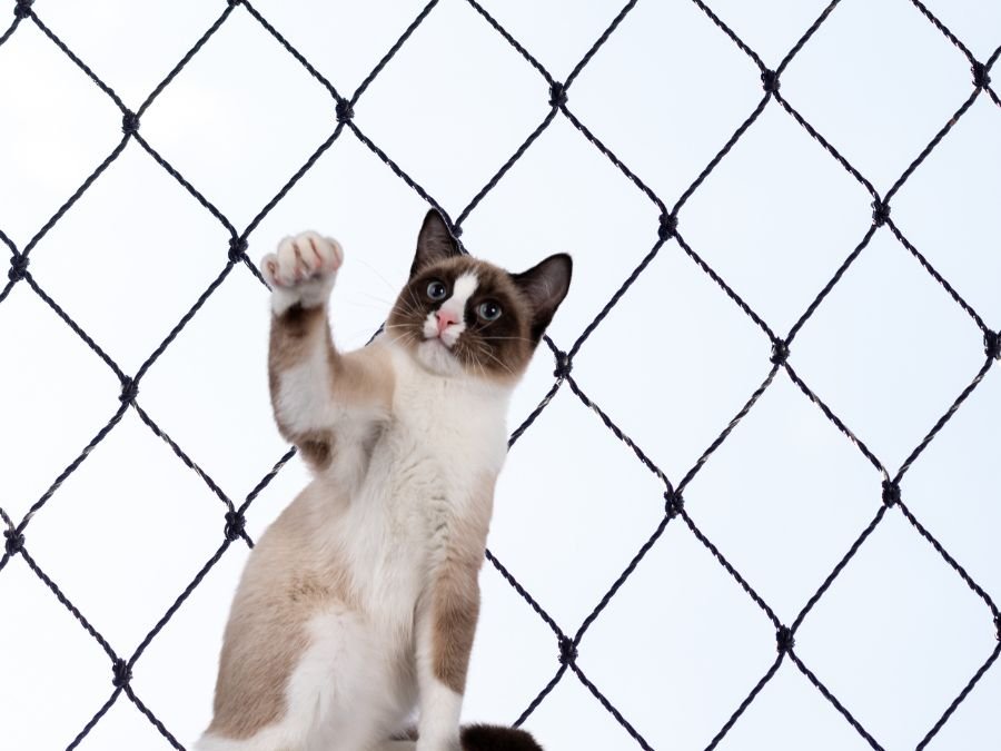 Rede de Proteção para Gatos em Jardim Botânico Curitiba