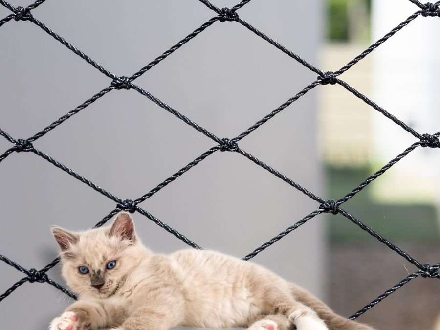 Rede de Proteção para Gatos em Pinheirinho