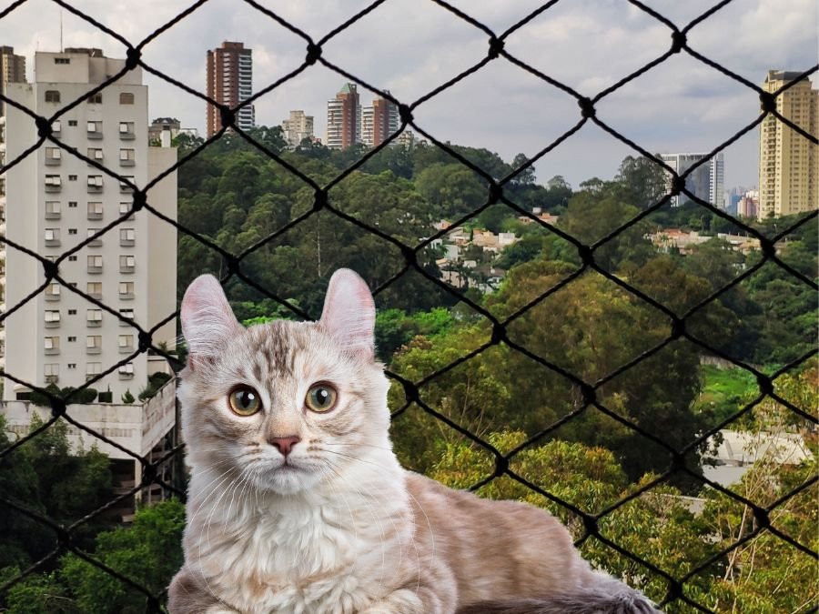Rede de Proteção para Gatos em Pinheirinho Curitiba