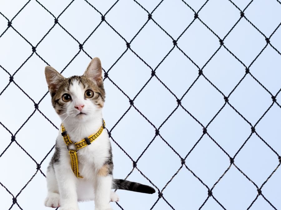 Rede de Proteção para Gatos em Tingui