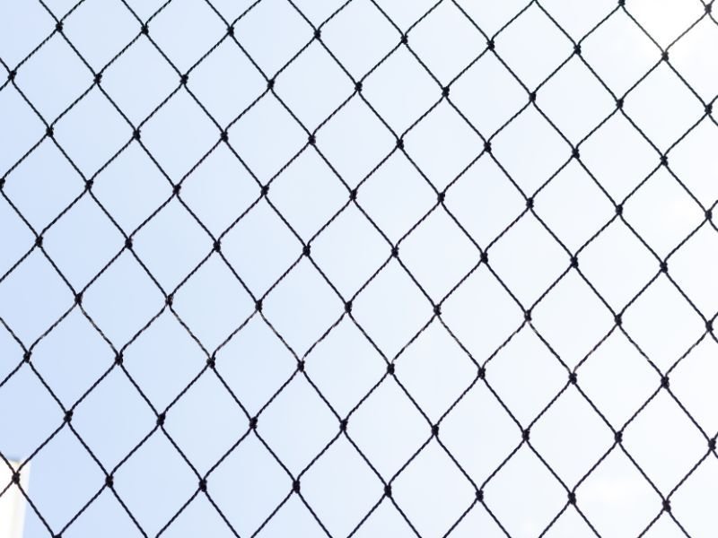 Rede de proteção animal curitiba