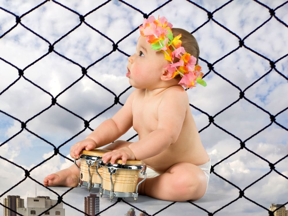 Rede de proteção animal de curitiba