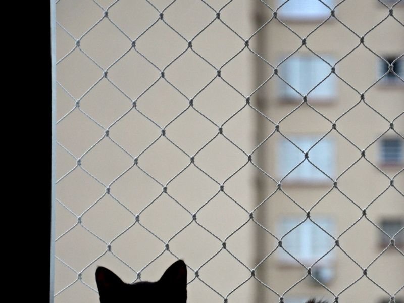 Redes de proteção para animais domésticos em Curitiba