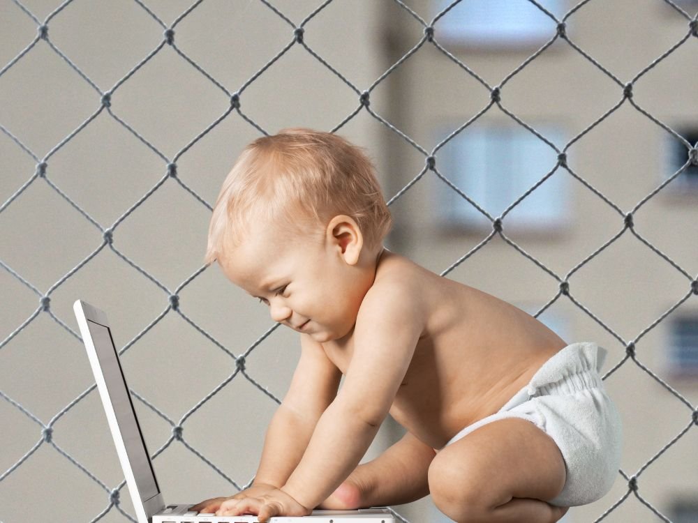 Tela Mosquiteira em Almirante Tamandaré