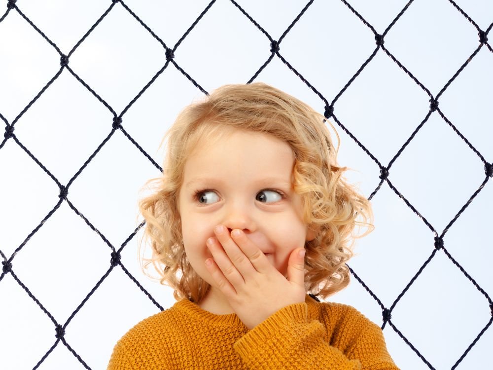 Tela Mosquiteira em Batel