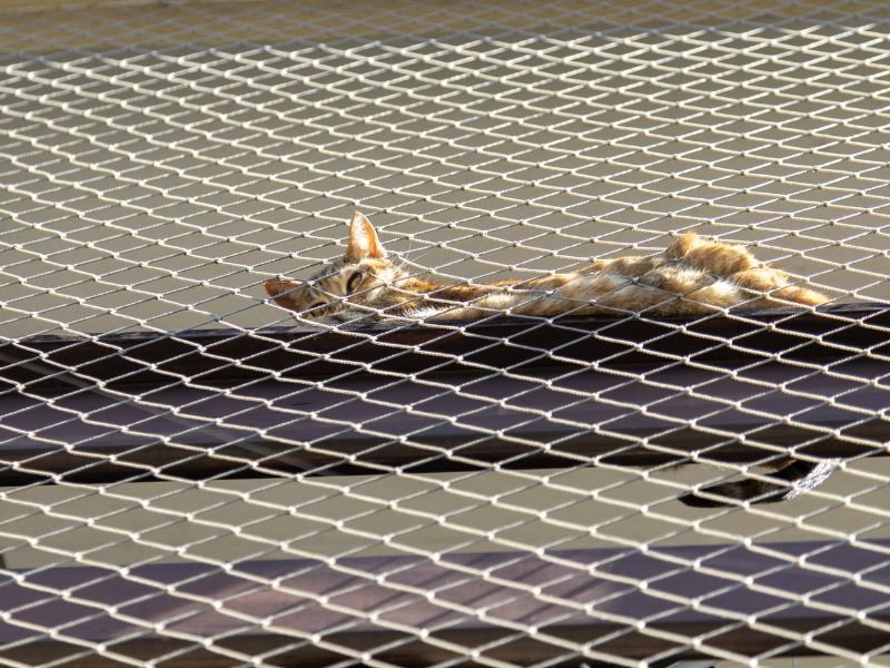 Tela de Proteção para Janela em Campo do Tenente