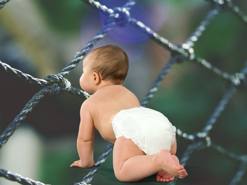 Tela de Proteção para Janela em Rio Negro