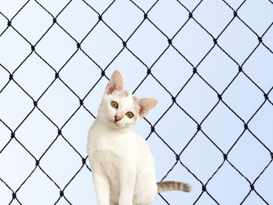 Tela de Segurança em Cachoeira Curitiba