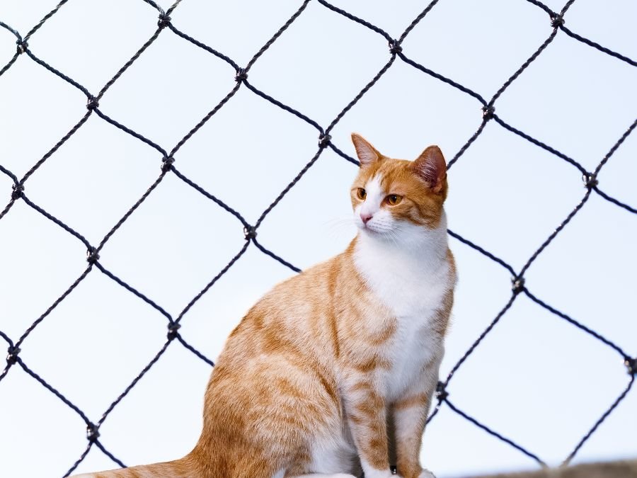 Tela de Segurança em Cidade Industrial Curitiba