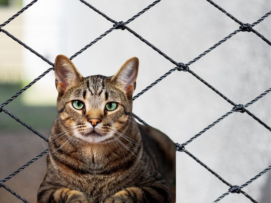Tela de proteção para gatos curitiba