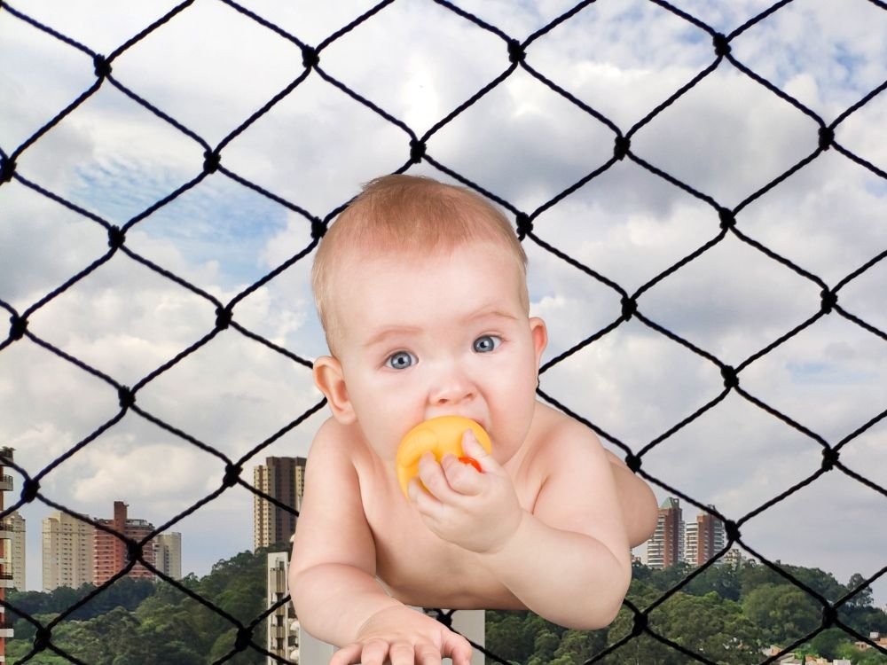 Tela para Janelas em Capão da Imbuia
