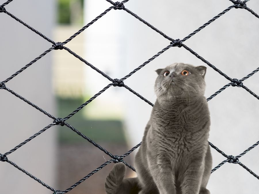 Telas de Proteção em Quitandinha