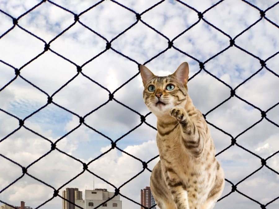 Telas de proteção em curitiba-2